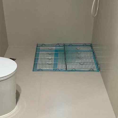 不锈钢狗厕所大中小型犬防踩屎网架定点排便神器宠物尿盆尿垫托盘