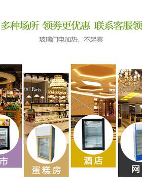 冷小型立TED式藏商用冷糕冻展示柜50L迷你玻璃门冰淇淋榴家用雪莲
