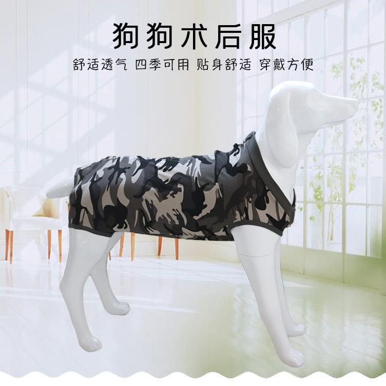 亚马逊新品狗狗术后防舔衣绝育服断奶服装保护伤口护肚宠物衣服