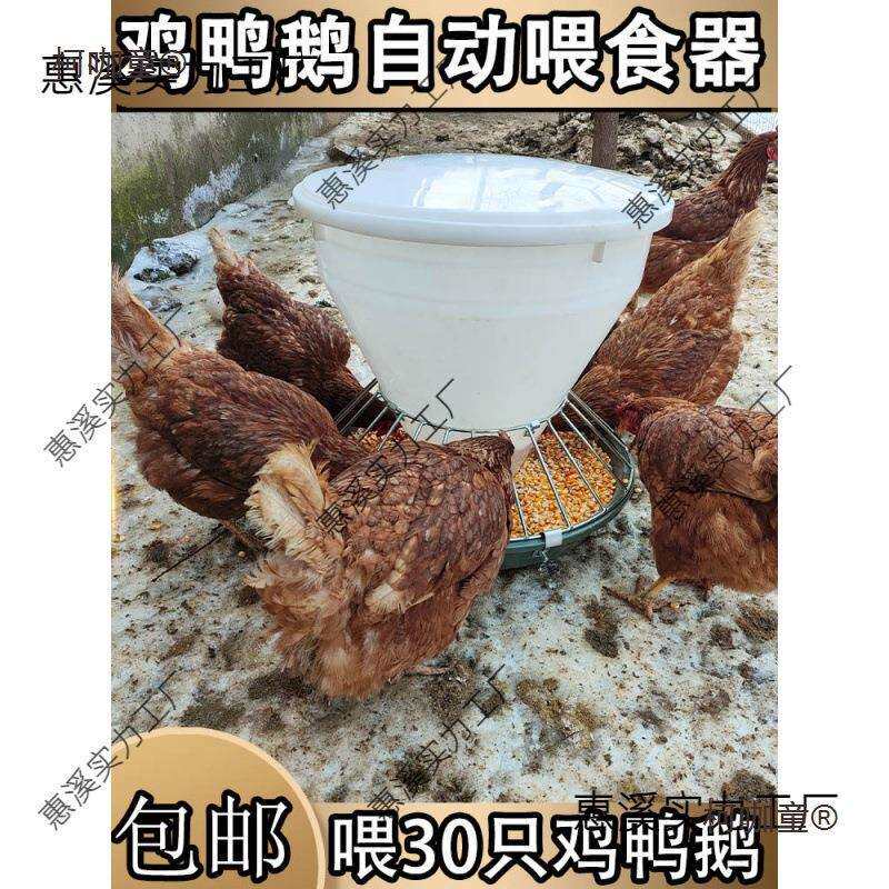 喂鸡食防撒鸡鸭鹅自动喂食器不锈钢喂鸡食自动喂养神器麦太保