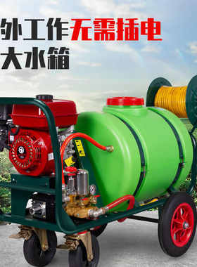 燃油打药机大型柴油大功率水箱喷雾器农用果园造雾款园林高射工厂