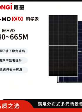 LONGi隆基太阳能光伏板HiMO X10 640/645/650/655W双玻BC单晶硅