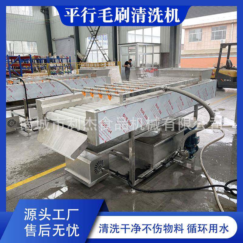 供应红薯毛刷清洗设备红枣滚动清洗去泥机海蛎子毛辊清洗机优惠