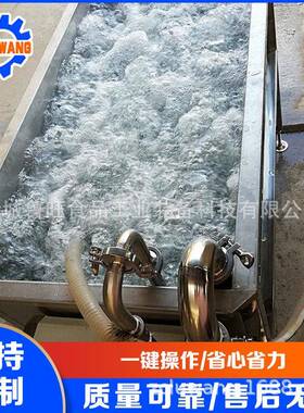 304不锈钢小型果蔬清洗机 水果清洗槽 气泡翻浪式蔬菜清洗槽