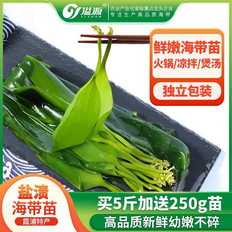 溢源霞浦海带苗嫩非特级非干货新鲜海带芽盐渍嫩苗凉拌菜火锅商用