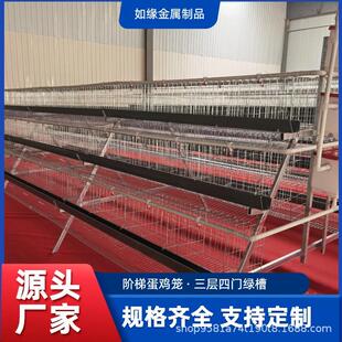 三层四门绿槽阶梯蛋鸡笼焊点牢固承重力强养殖笼镀锌加密蛋鸡笼