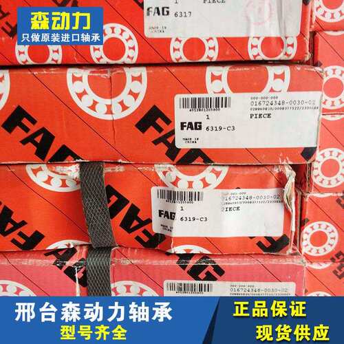 FAG 6319-C3 德国进口轴承318 317 316 315 314 313 6300 M J20AB