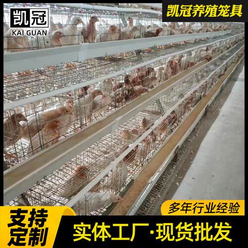 立体三层阶梯式蛋鸡笼全自动蛋鸡养殖笼子组合阶梯式蛋鸡笼子全套