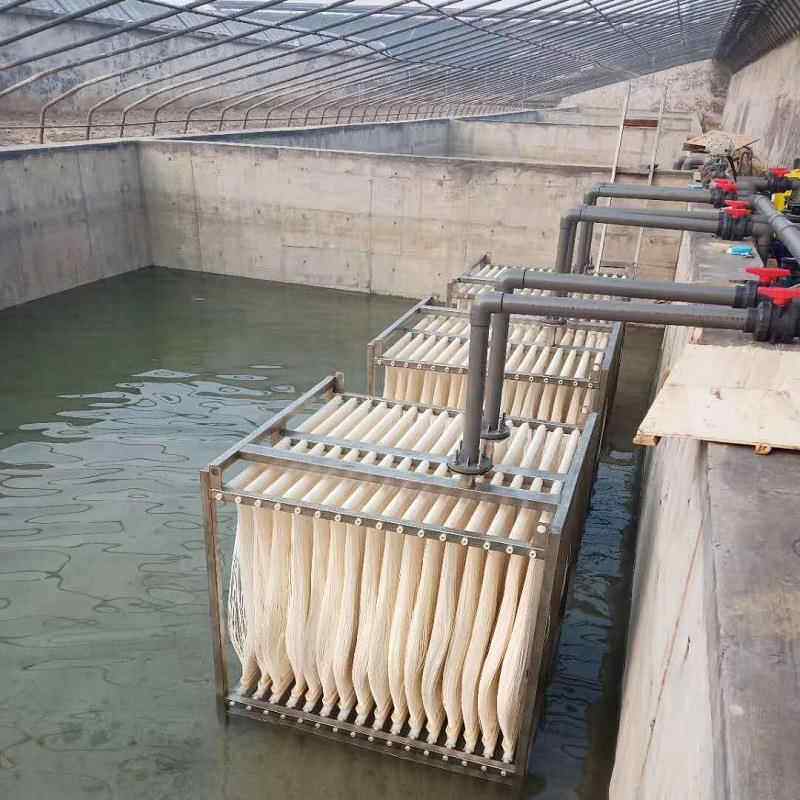 MBR膜片组件膜生反应器水污处理过滤膜MPBR帘式膜VD物TVJF材质膜