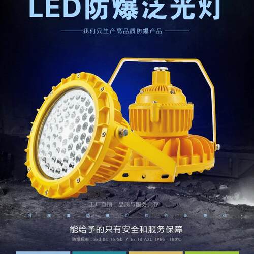 LED防爆灯20W30W40W50W60W80W100W120W防爆LED灯BLD210
