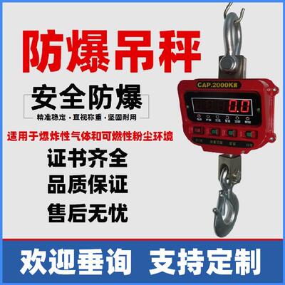 防爆吊秤2T电子秤直视吊钩秤蓝箭电子吊秤工业用防爆称重本安BT4