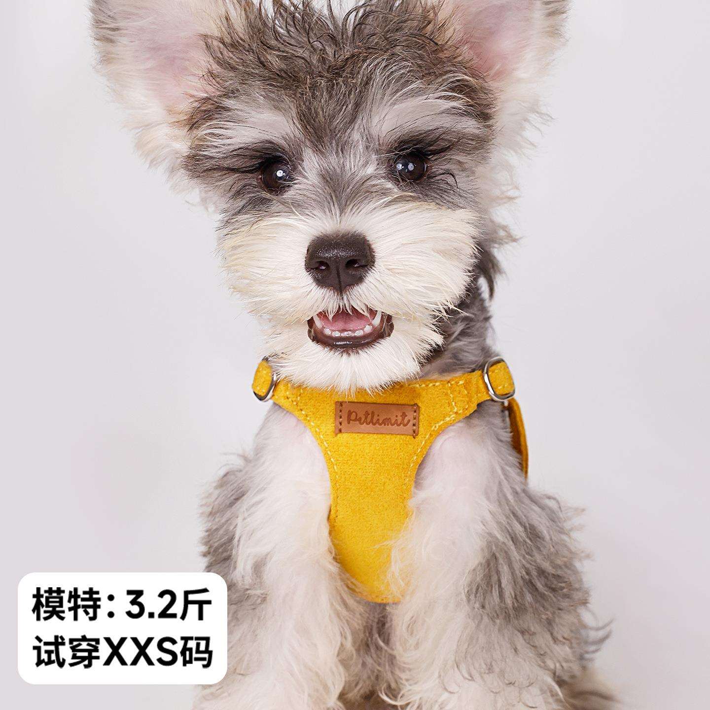 小狗狗牵引绳背心式遛狗绳链子小型犬幼犬泰迪比熊胸背带宠物用品