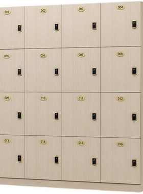 XLL木质更衣柜健身房储物柜洗浴中心鞋柜瑜伽馆美容院舞蹈房存包