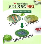 鱼池除藻剂池塘鱼缸净水剂清水剂观赏不伤鱼除绿水去苔青苔剂500g