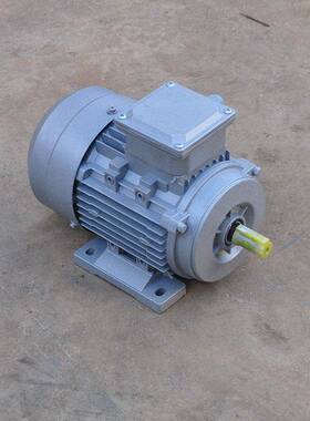 YE3M系列铝壳-160M1-2级11W三相异步交流马达电机