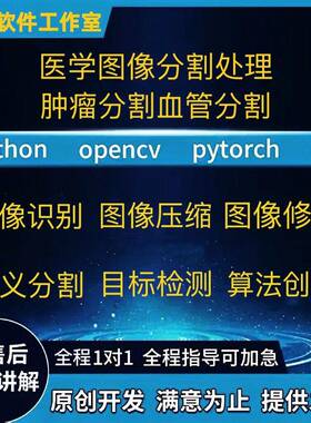 Python程序代编Pytorch医学图像分割Nlp代做CV人工智能深度学习