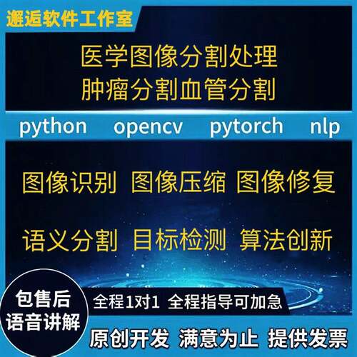 Python程序代编Pytorch医学图像分割Nlp代做CV人工智能深度学习