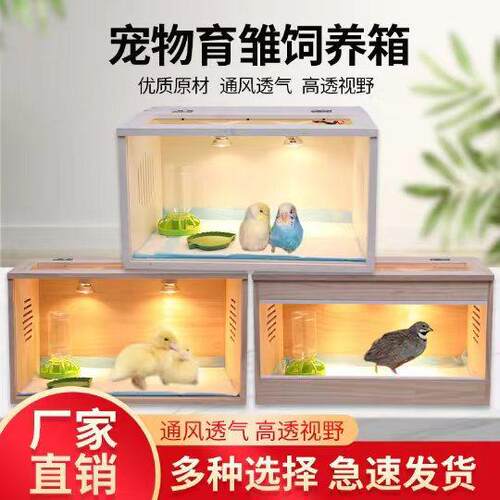鹦鹉幼鸟保温箱芦丁鸡饲养小鸭育雏玄凤宠物养殖