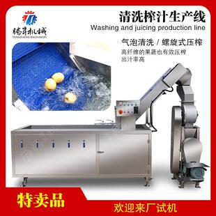 压榨机 木瓜 大型气泡清洗 水果清洗压榨生产线 榨汁机 芒果