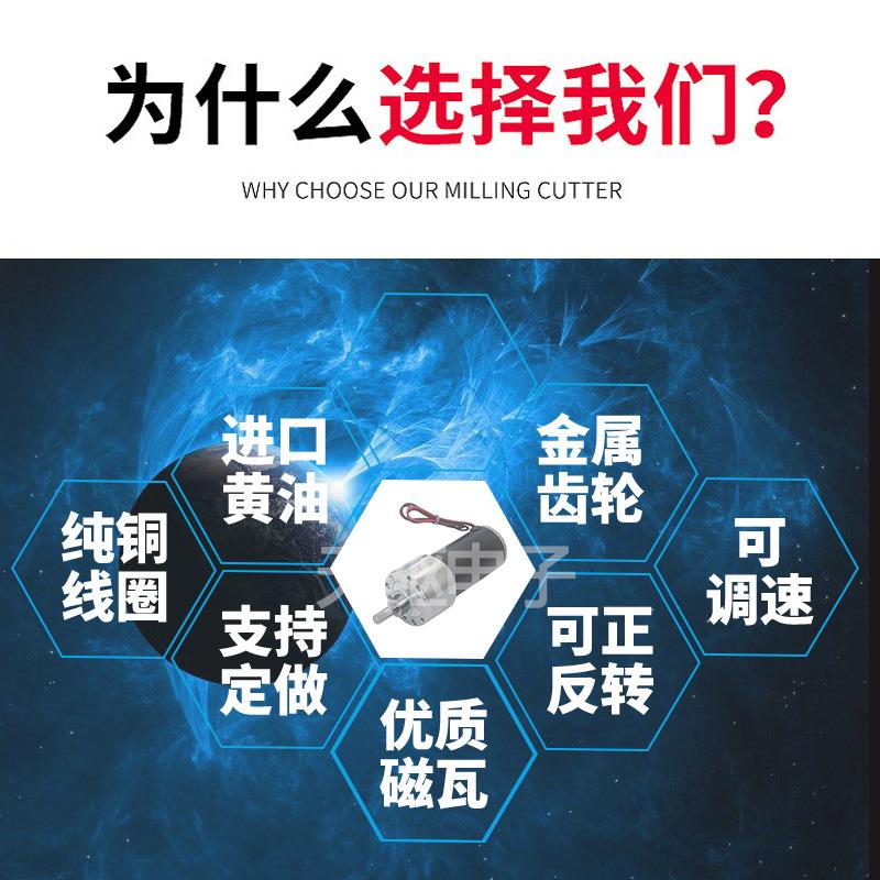 天驱电子37GB31ZY大扭力直流永磁管状 12V 24V 减速电机马达