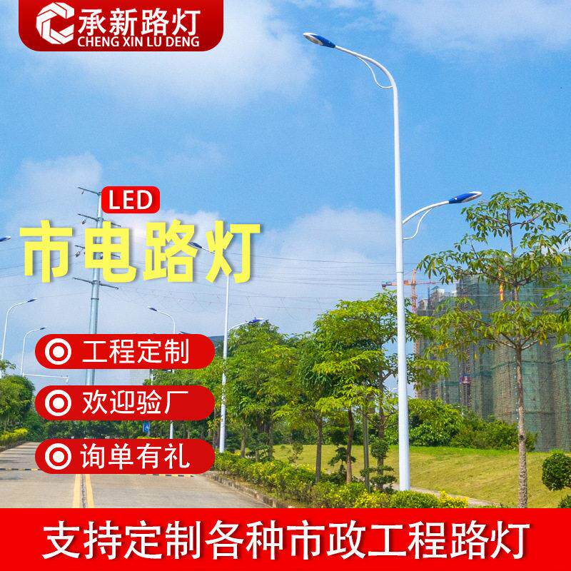 厂家直销工程6米8米市政工程路灯农村户外led市电低臂双头路灯