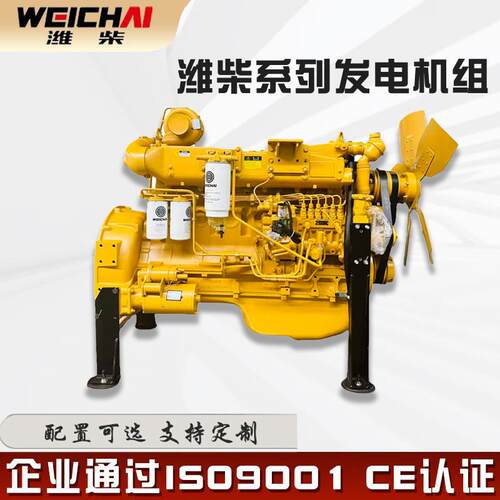 WD10G220E21装载机柴油机厦工龙工山工装载机铲车WD10G发动机