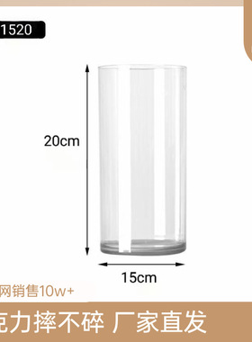 亚克力富贵竹花瓶摆件客厅花瓶