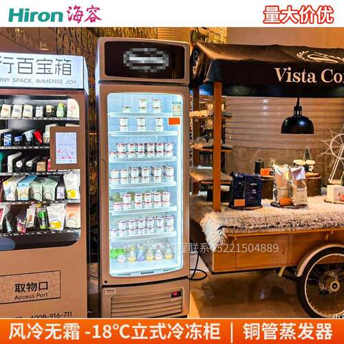海容展示柜立式冷冻柜208/370L冰淇淋雪糕柜风冷无霜商用冰箱冷柜