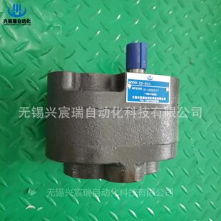 B40 B50 B63 B100 兴宸瑞低压齿轮油泵CB B80 B32