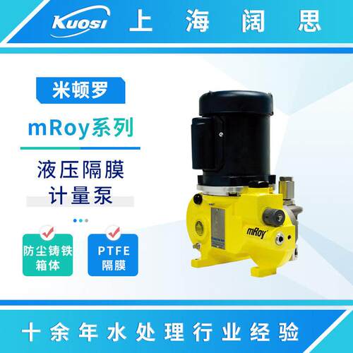 液压隔膜计量泵mRoy系列RA011S024A1MNN流体输送污水排污泵
