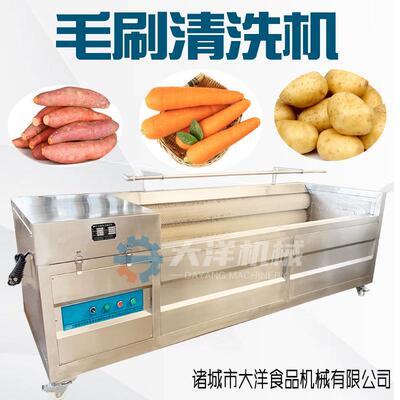 全自动毛刷式土豆清洗机现货供应白萝卜清洗设备电动洗猕猴桃机器