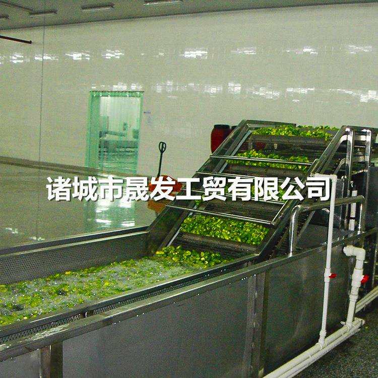 晟发全自动龙虾气泡清洗机 多功能扇贝清洗风干线 海鲜解冻清洗机