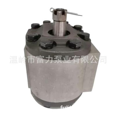tractor pump for 液压泵 83913537 D8NN600FA 83945584