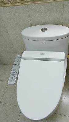 Re:TOTO智能马桶盖卫洗丽洁身器TCF345CS怎么样?冲洗效果行