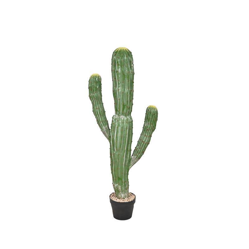 仿真仙人掌仙人柱球热带沙漠植物店铺橱窗装饰绿植盆栽摆件摩洛哥
