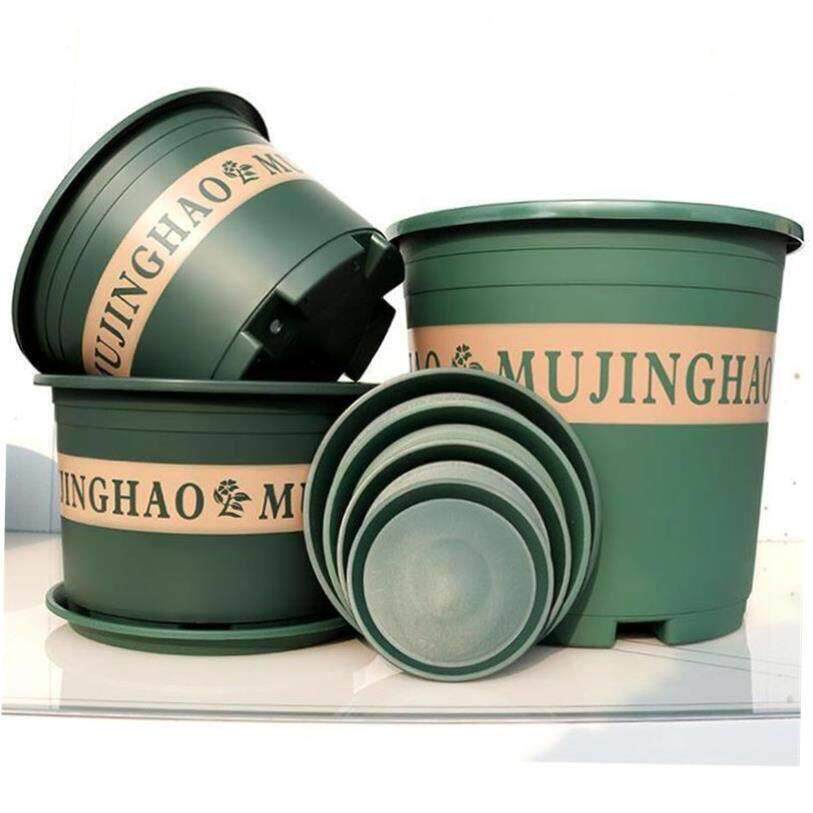 More large flower pot plastic plant trees green plant POTS - 实物图