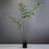 仿真蕨草树盘栽自然森林系金丝禅意猴头蕨绿植装 饰庭院景观摆设