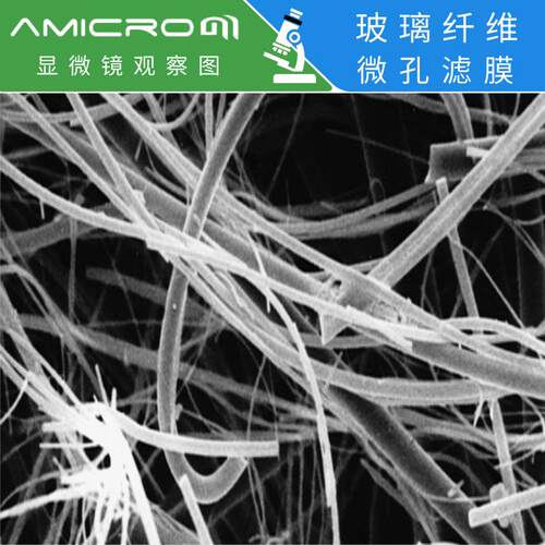 47mm玻璃纤维滤膜GF大孔径微孔滤膜 气体颗粒物微孔过滤 预过滤膜