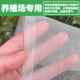 养殖场防网猪场猪栏窗无品牌 猪舍蚊猪圈尼龙网纱抗老化大棚纱防