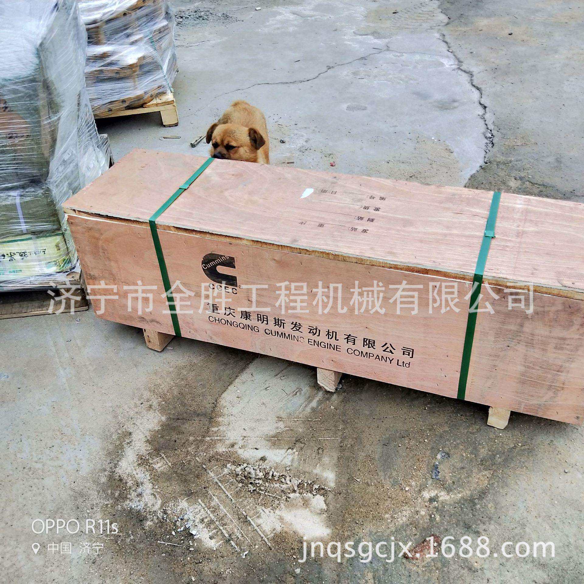 NT855发动机气门顶杆3046420 NT855发动机总成 发动机连杆