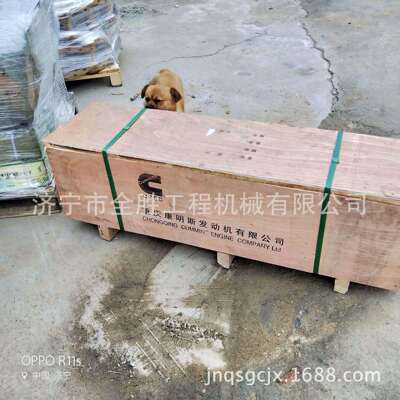 NT855发动机气门顶杆3046420 NT855发动机总成 发动机连杆