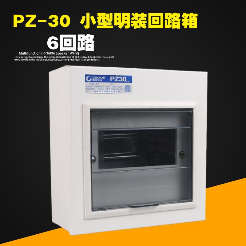6路配电箱家用明装空气开关盒PZ30小型六回路强电电源控制配电箱