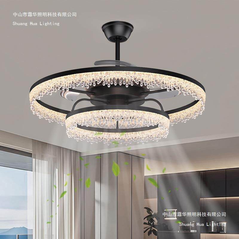 意式极简轻奢卧室风扇灯客厅2025新款餐厅吊扇灯黑色全光谱遥控灯