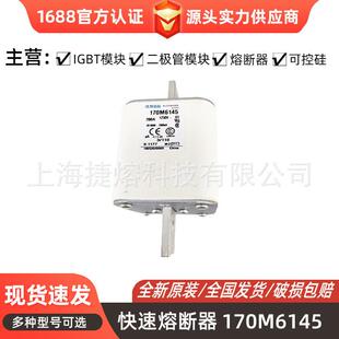 170M1516电子元器件 熔断器 库存充足 厂家直供 理货源