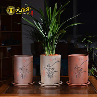 紫砂兰花盆宜兴刻绘吊兰盆景室内盆栽虎皮兰盆君子兰陶瓷花盆