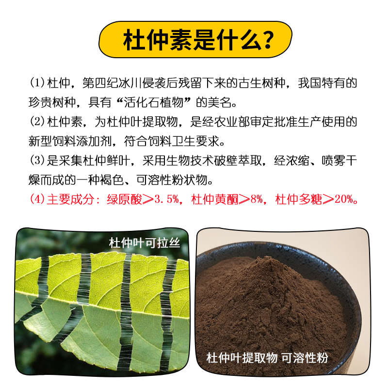 杜仲葉提取物獸用杜仲素飼料添加劑1kg 美力盾豬雞鴨禽水產(chǎn)牛羊鴿