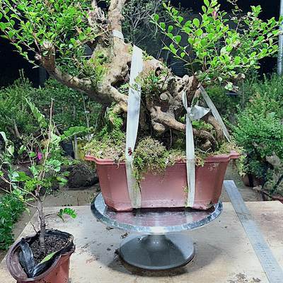 桩多的已经漏不完了