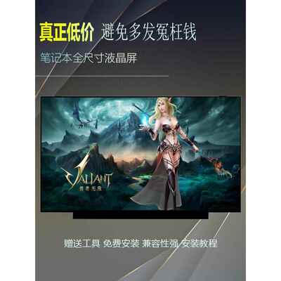 Ne156Qhm-Ny4 Ny3 Ny2 Ny1 N156Kme-Gna 165Hz笔记本电子竞技液晶显示屏