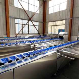 全自动水果果蔬重量分选机 苹果猕猴桃凤梨分选选果机厂家现货