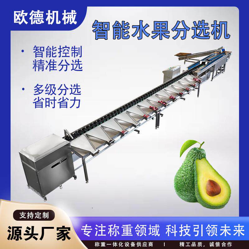 欧德赣南脐橙智能水果分选机橘子柠檬重量选果机视觉检测伤果坏果
